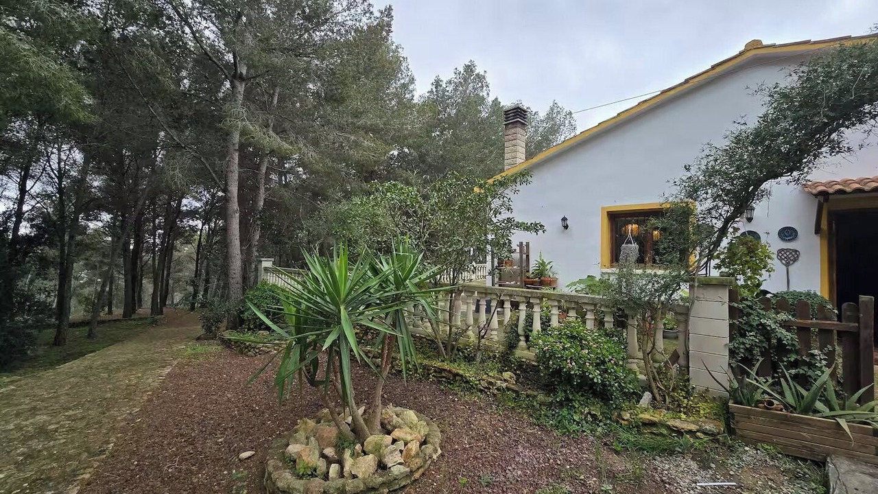 Photo of Outdoor in Valldemar