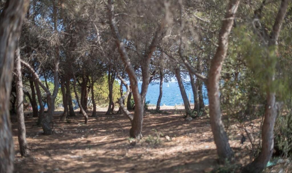 Photo of Others in Torredembarra
