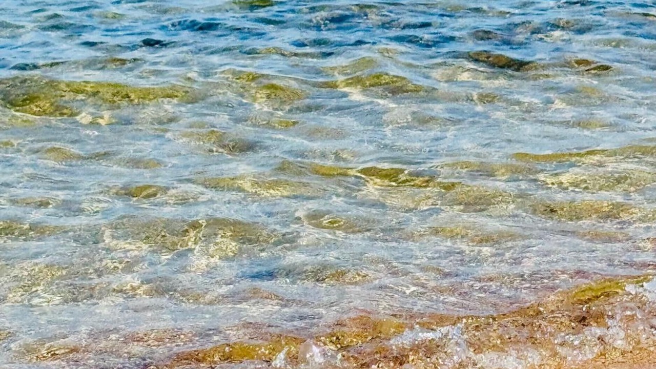 Photo of Others in Mar de Cristal