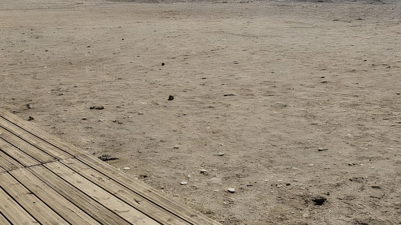 Photo of Others in Puerto de Mazarron