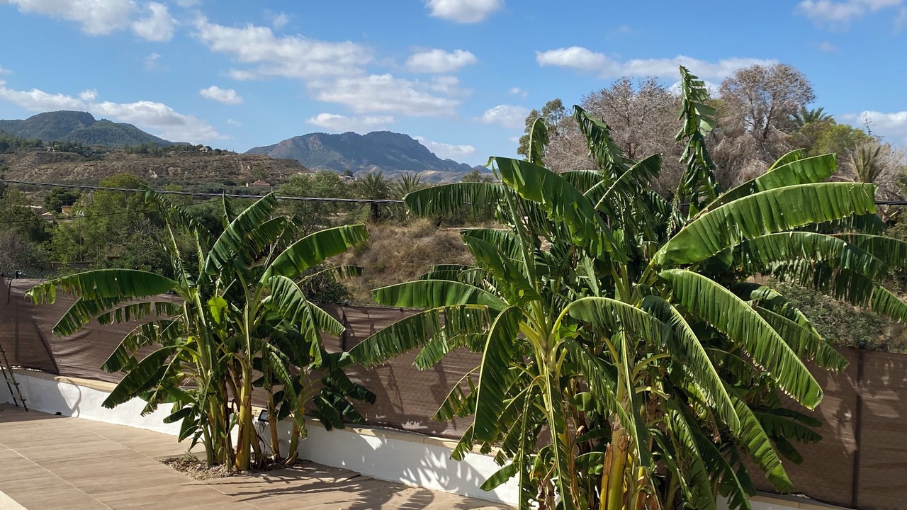 Photo of Outdoor in Canadas de San Pedro