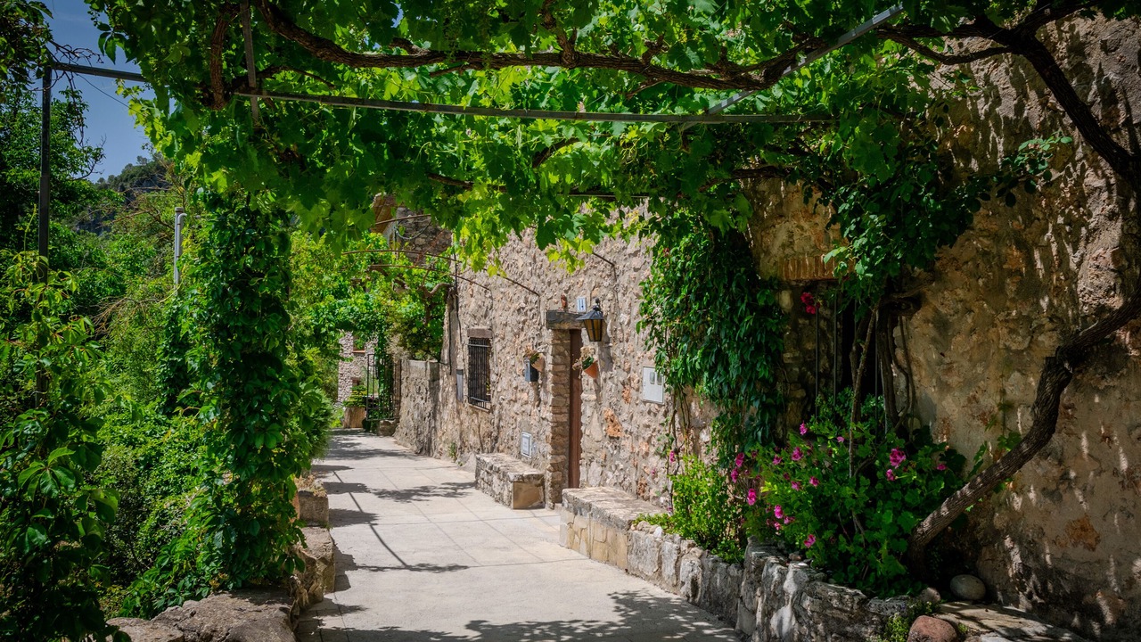 Photo of Outdoor in Mont-Ral