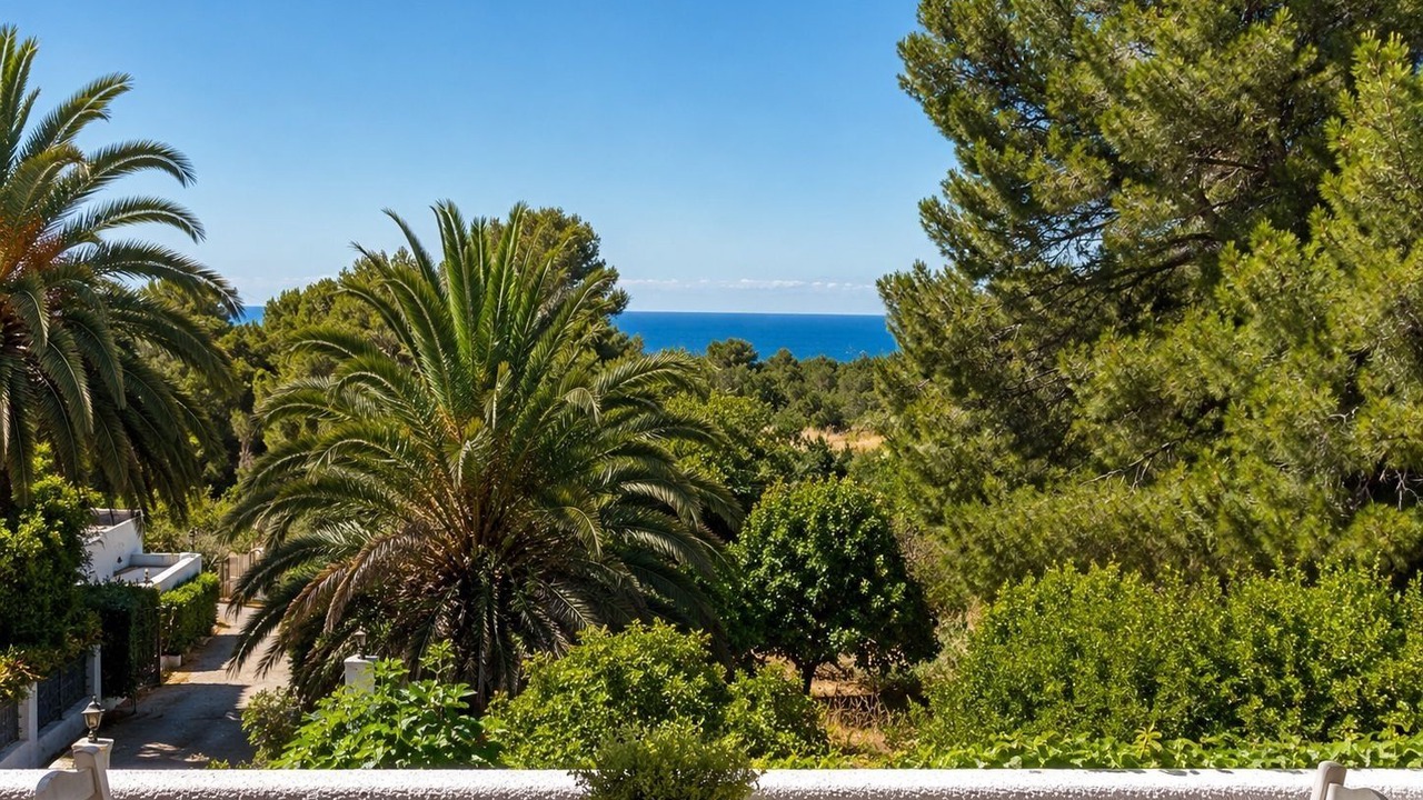 Photo of Outdoor in Ibiza Town