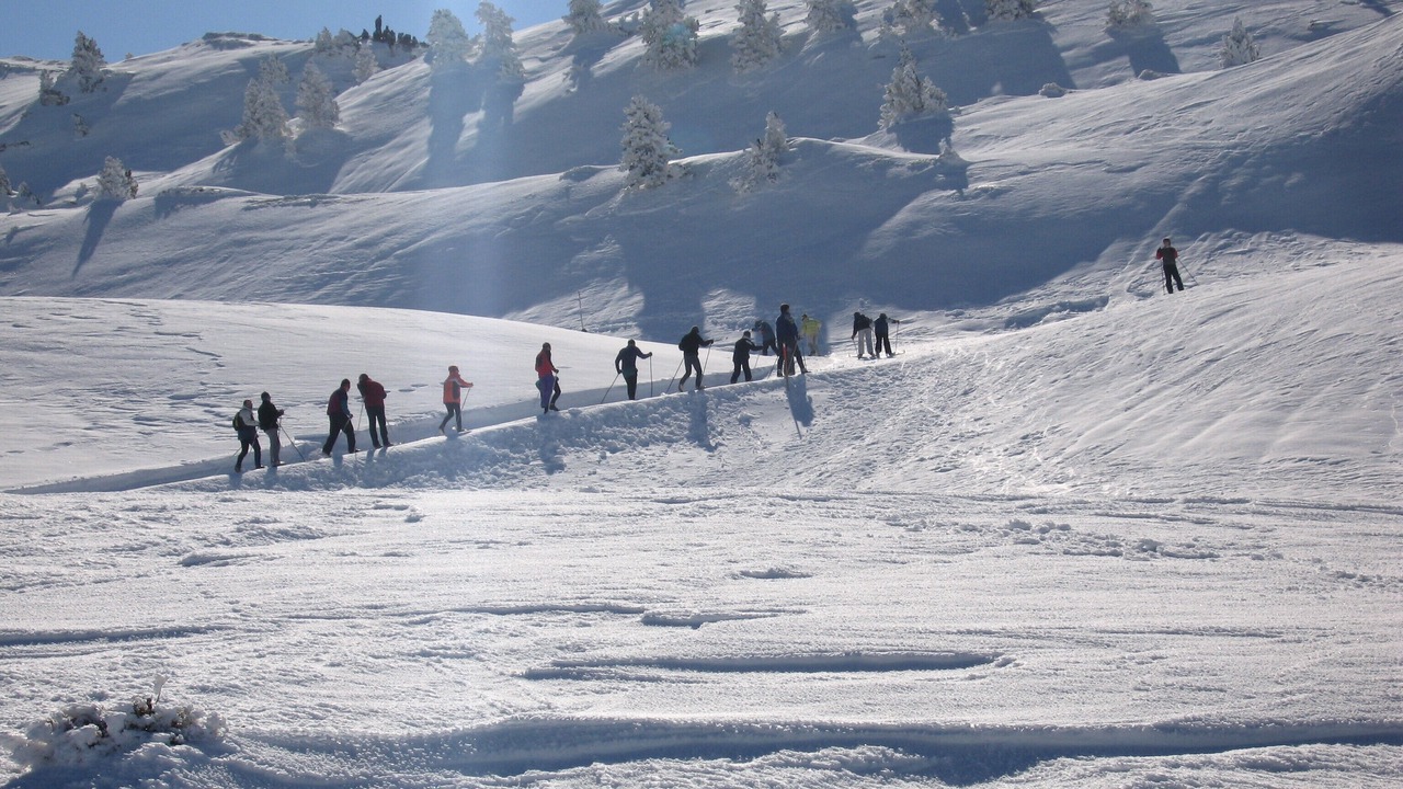 Photo of Others in Uztarroz