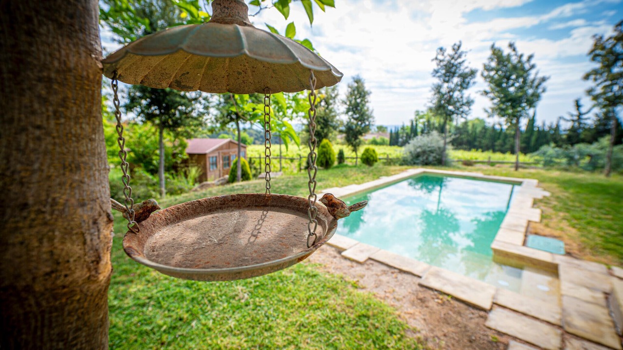 Photo of Outdoor in Font-Rubi