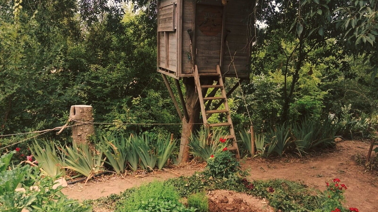 Photo of Outdoor in Artesa de Segre