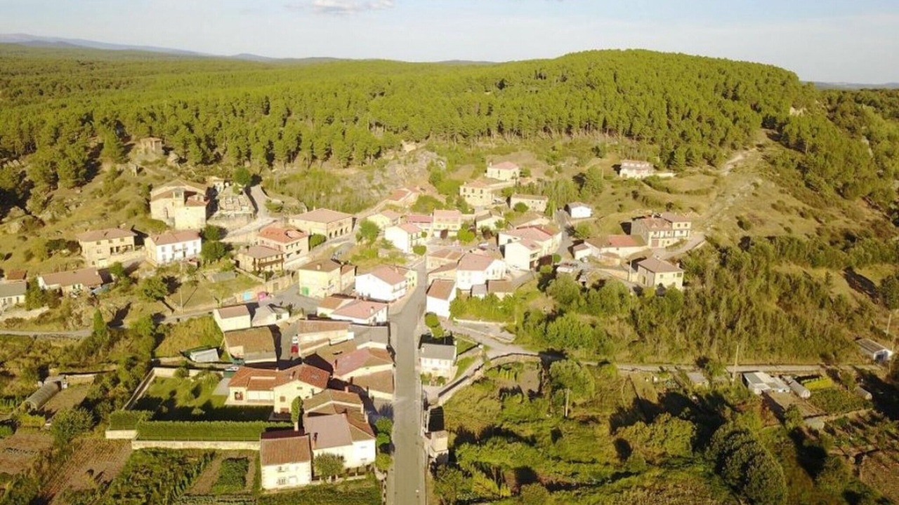 Photo of Outdoor in Rabanera del Pinar