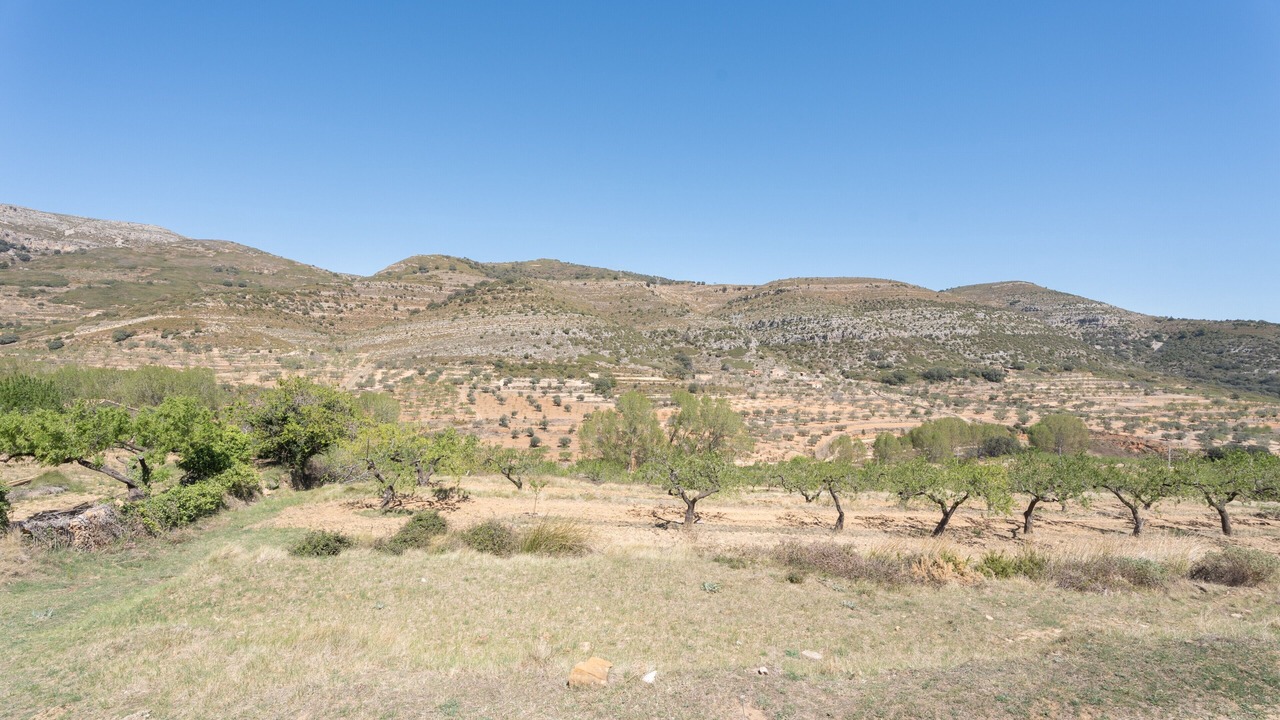 Photo of Others in Culla