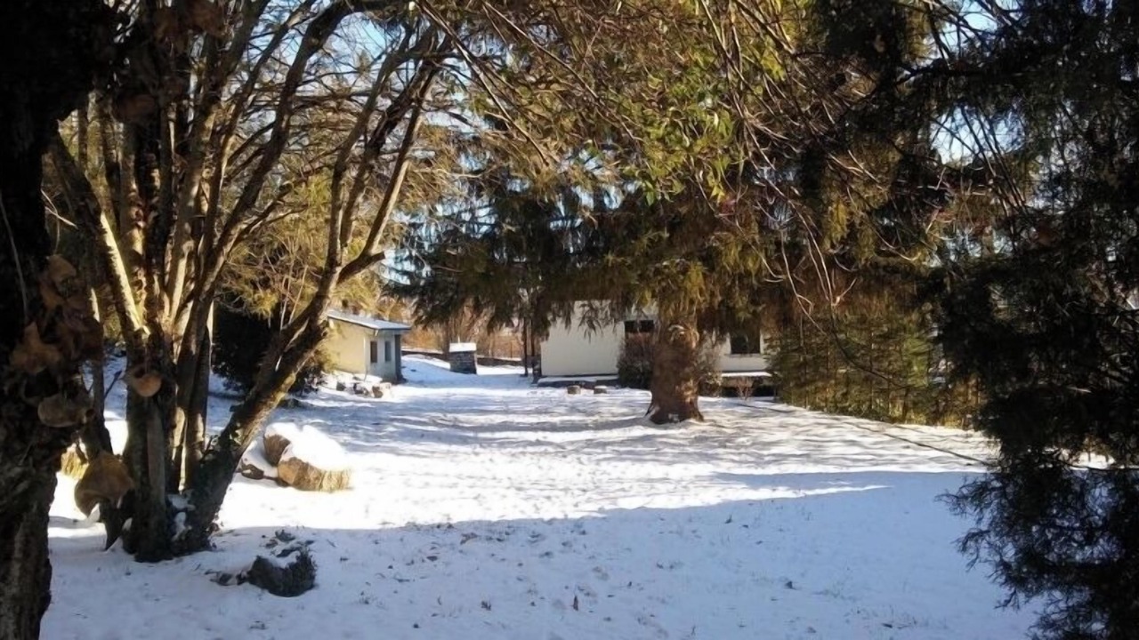 Photo of Outdoor in Rascafria