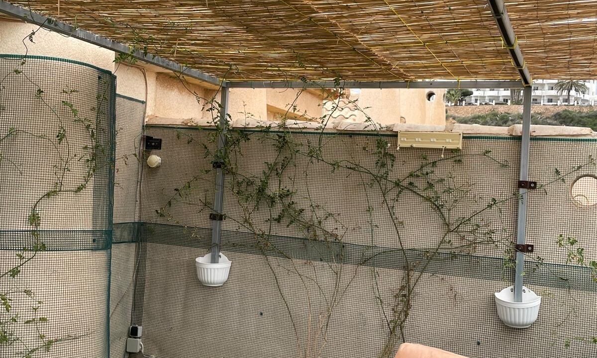 Photo of Patio Balcony in Puerto de Mazarron