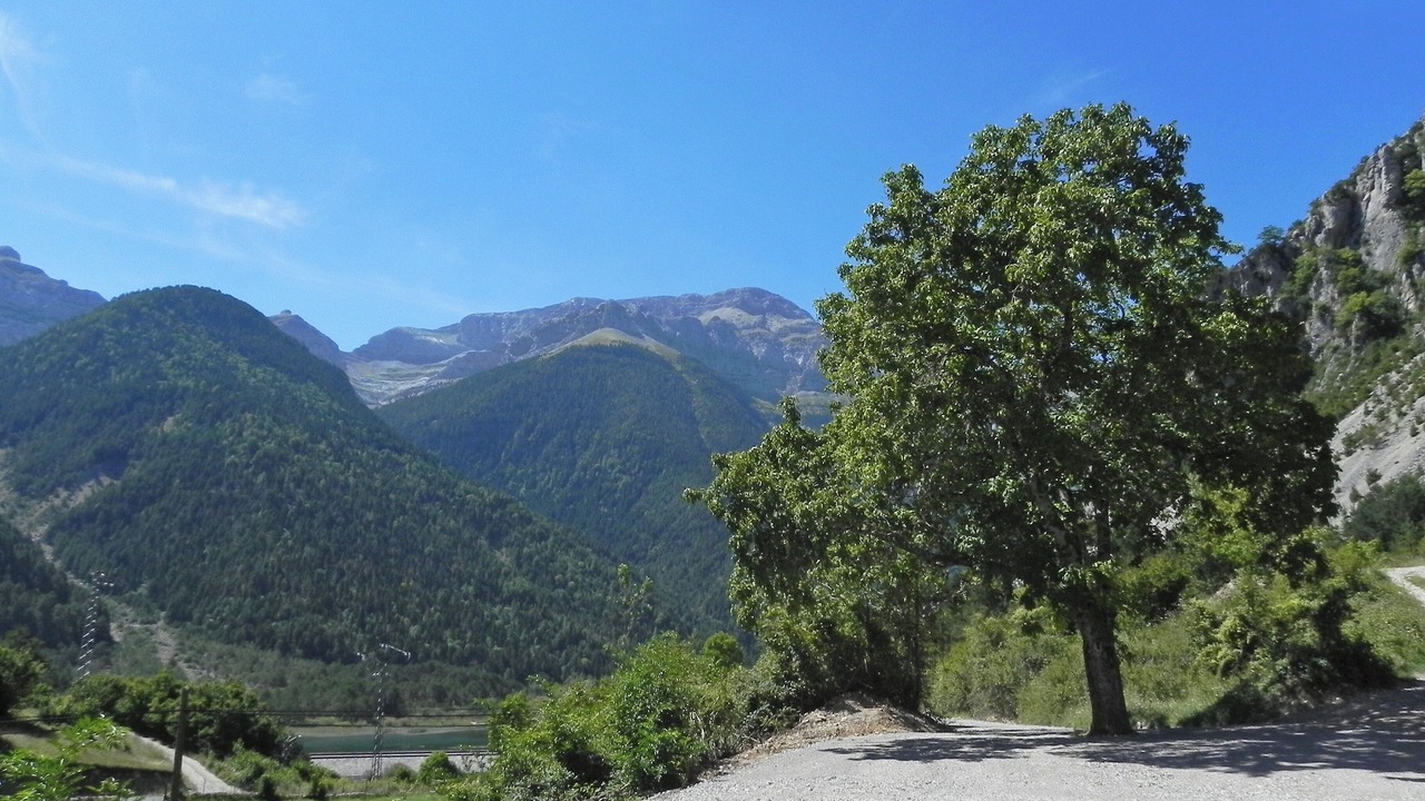 Photo of Outdoor in Javierre