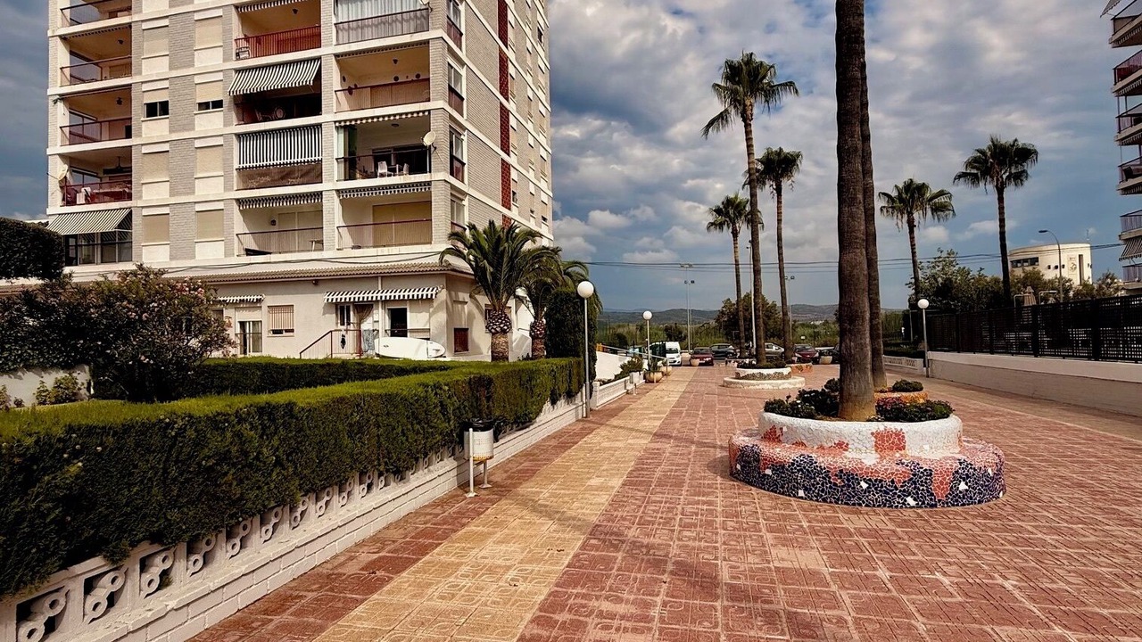 Photo of Others in Torreblanca
