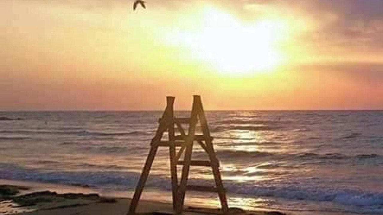 Photo of Others in La Mata