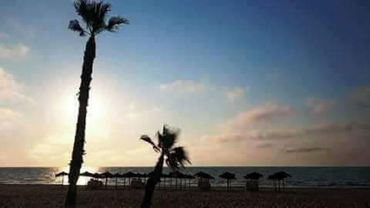 Photo of Others in La Mata
