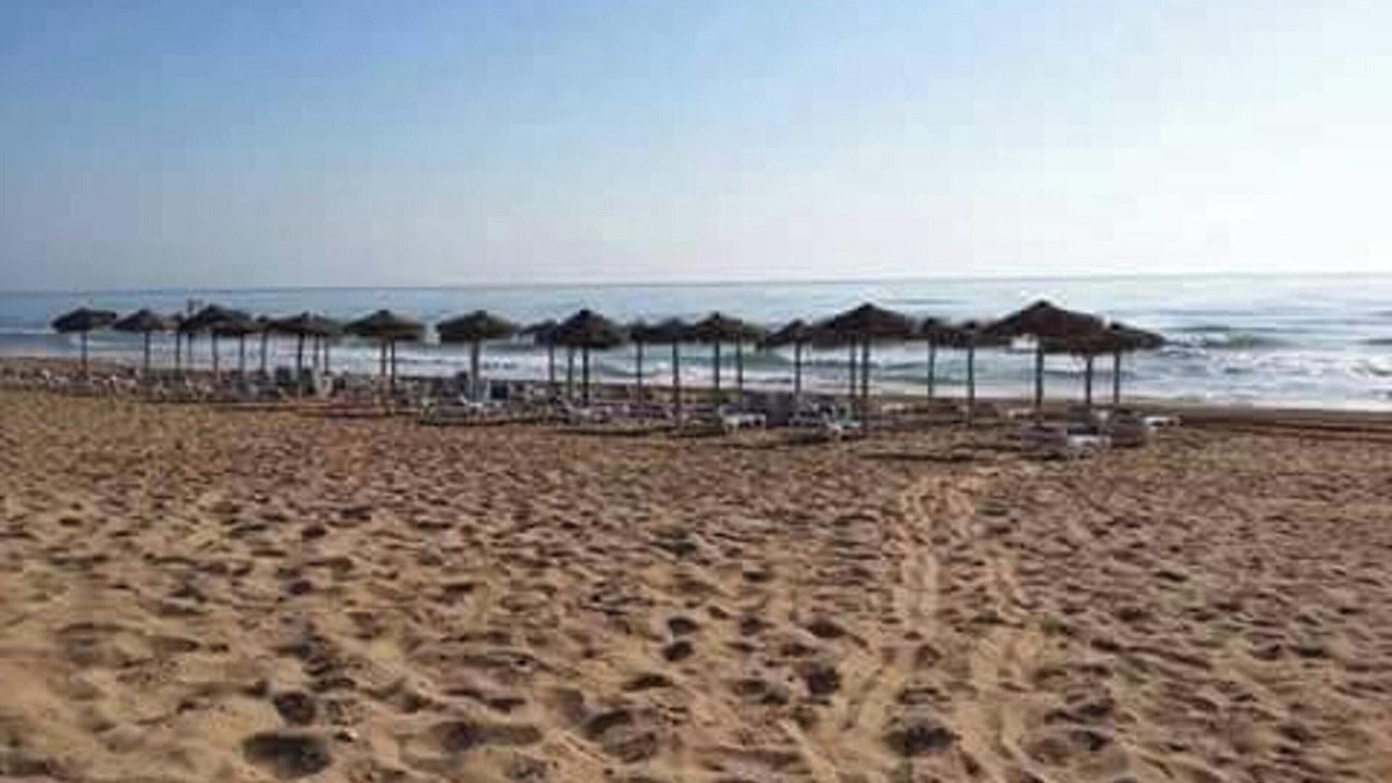 Photo of Others in La Mata