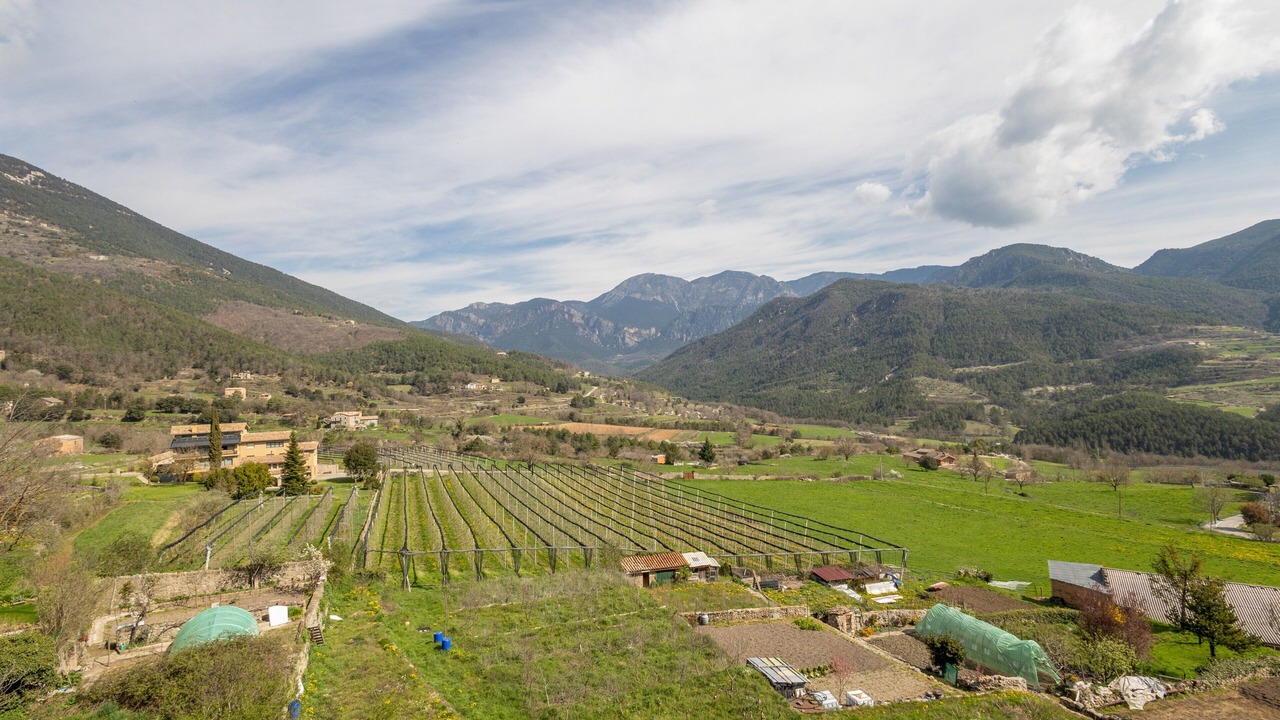 Photo of Others in San Lorenzo de Morunys