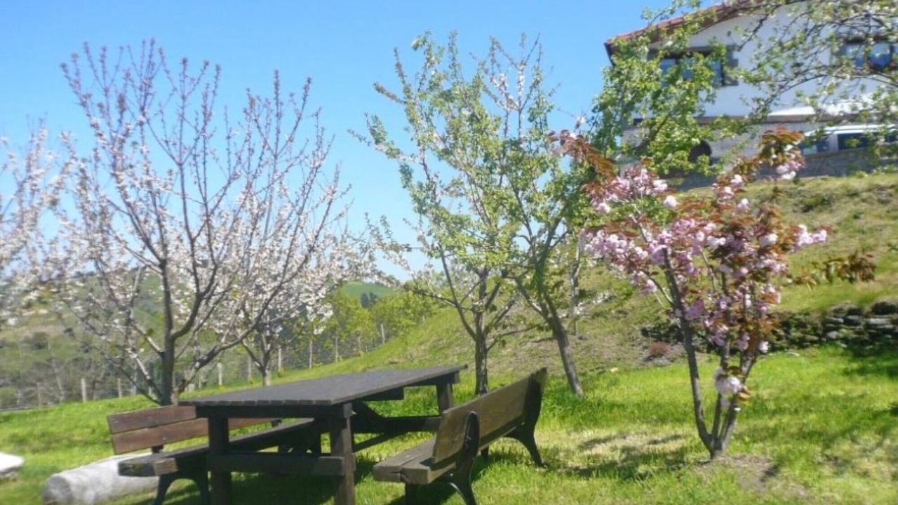 Photo of Outdoor in Deba