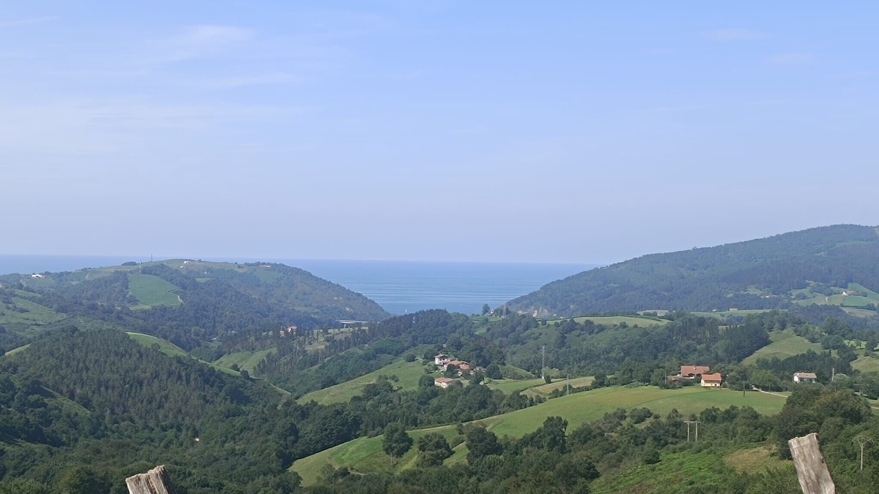 Photo of Others in Olaskoegia