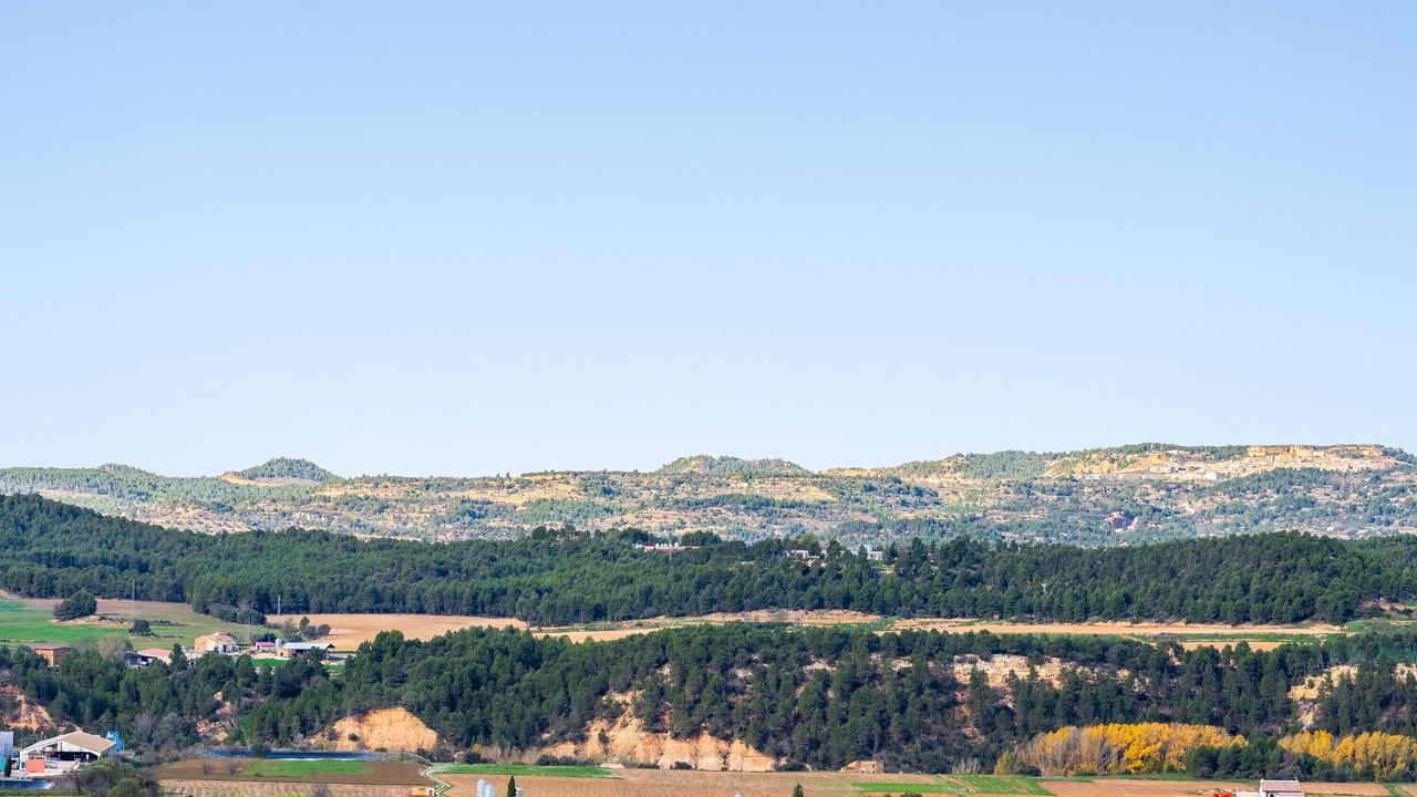 Photo of Others in Penarroya de Tastavins