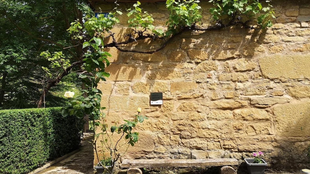 Photo of Outdoor in Lanciego/Lantziego