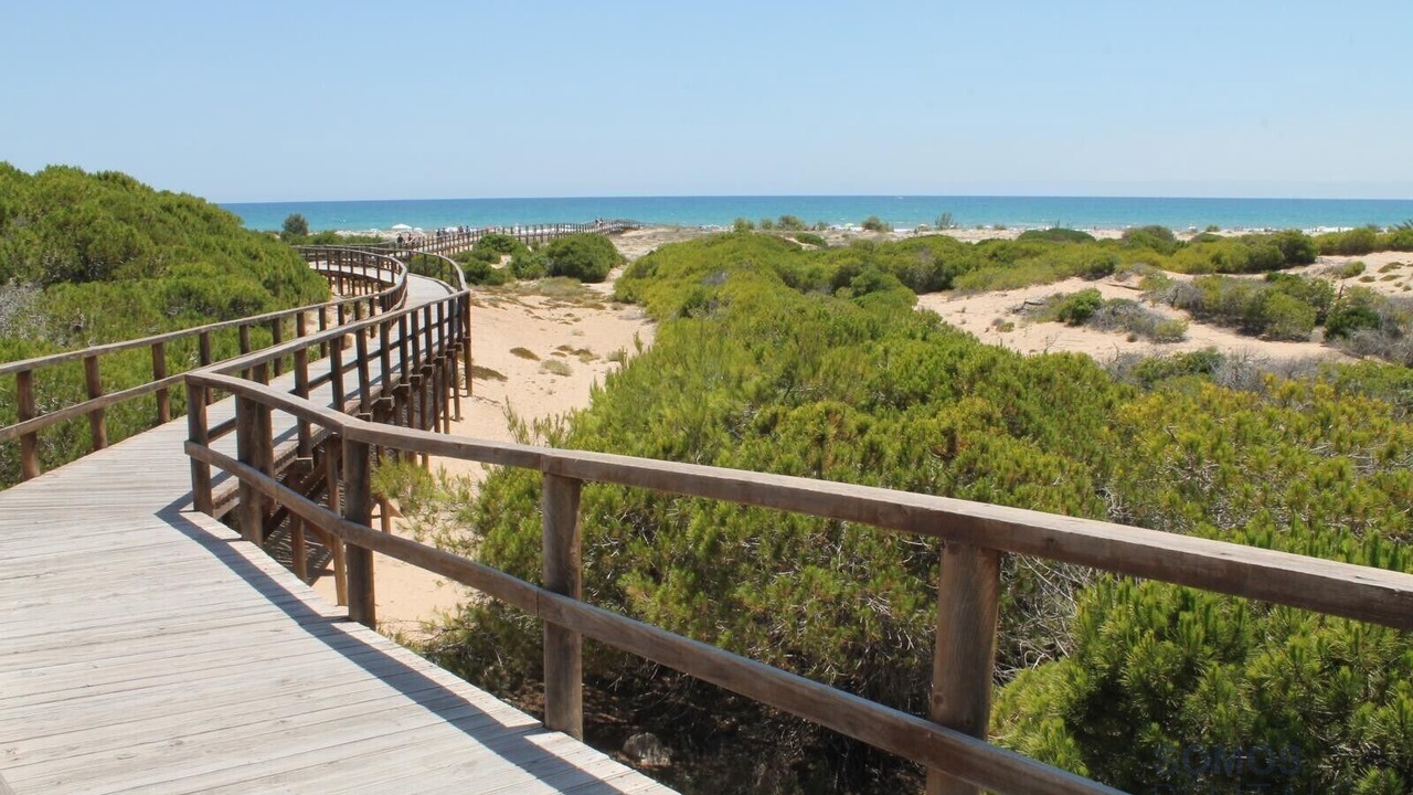 Photo of Others in Gran Alacant