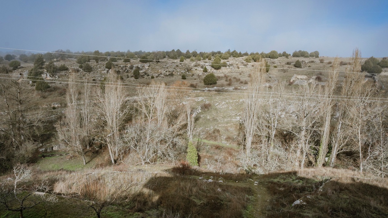 Photo of Others in Castrojimeno