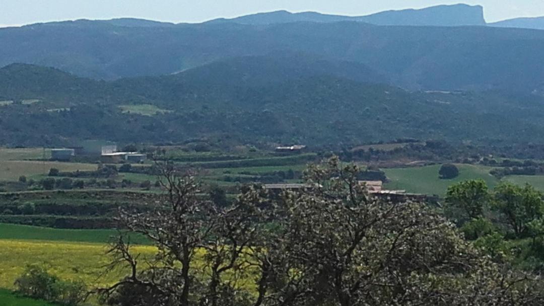 Photo of Others in Castillonroy