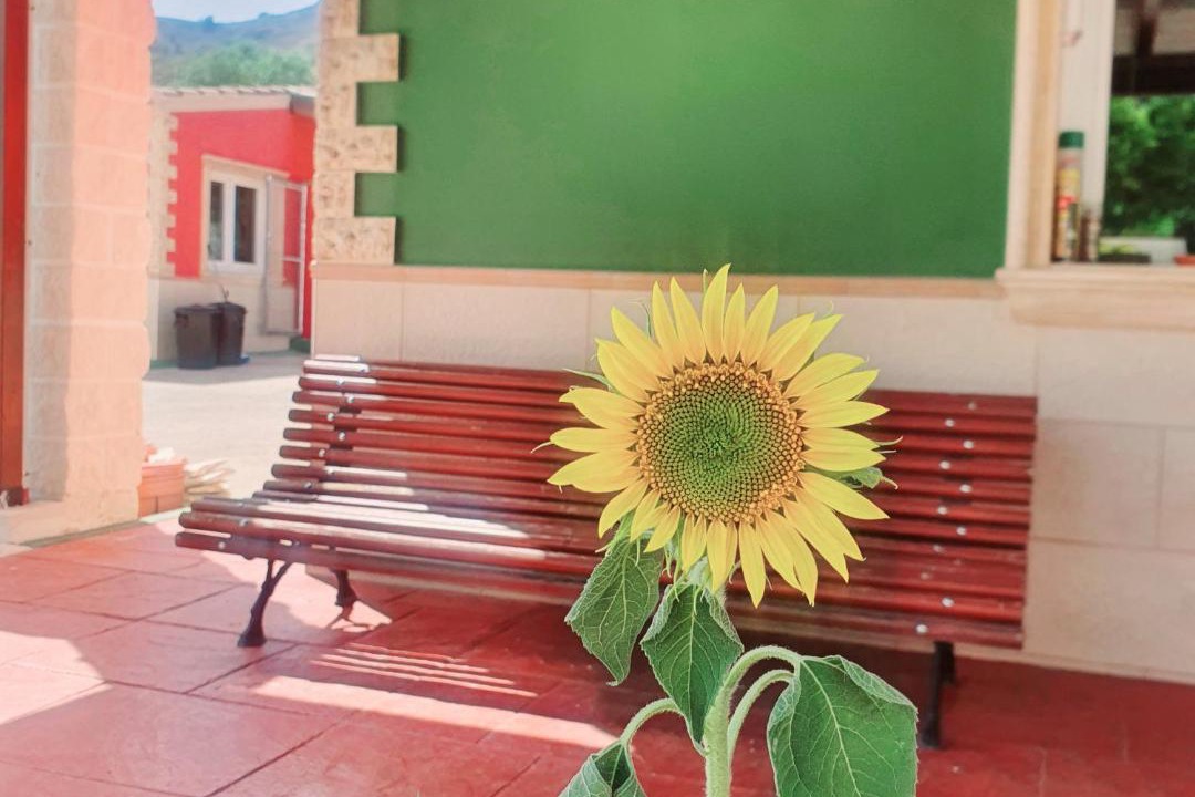 Photo of Others in Yecla
