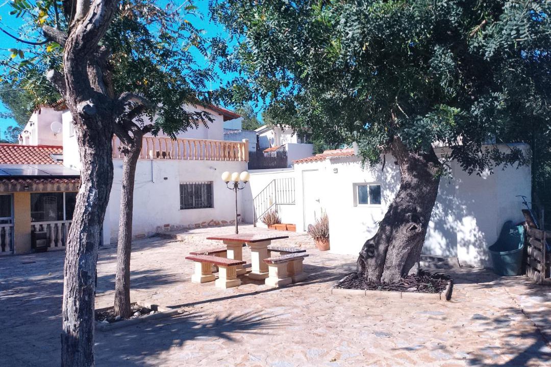 Photo of Others in Canadas de San Pedro
