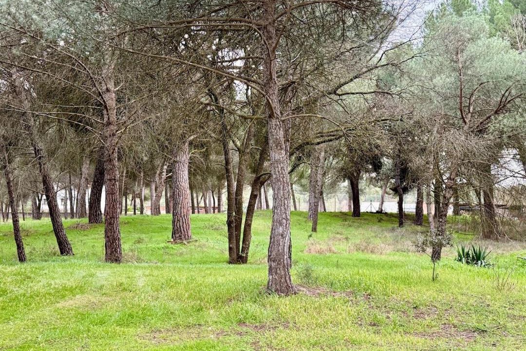 Photo of Outdoor in Villabanez