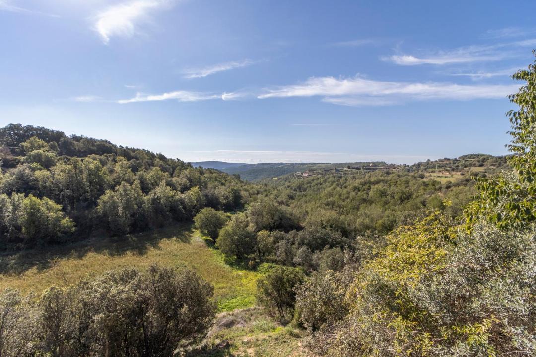 Photo of Others in La Baronia de Rialb