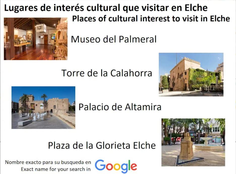 Photo of Others in Elche