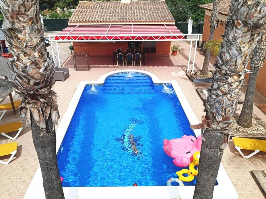 Photo of Others in Elche
