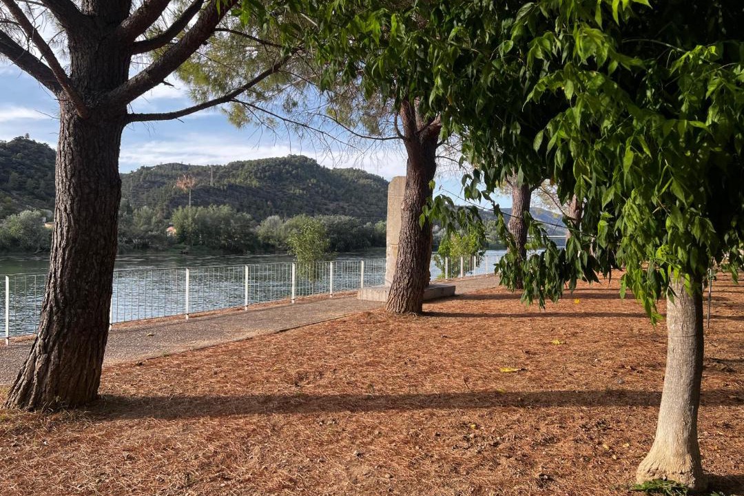 Photo of Others in Benifallet