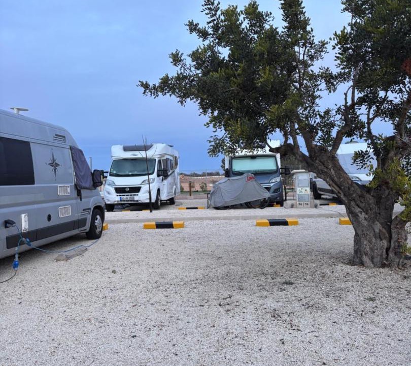 Photo of Others in Los Arenales del Sol