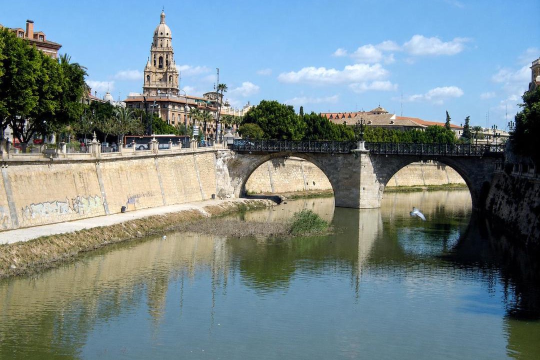 Photo of Others in Area Metropolitana de Murcia
