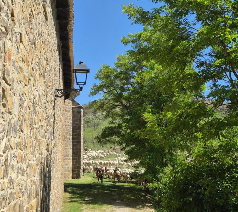 Photo of Others in Urraul Alto