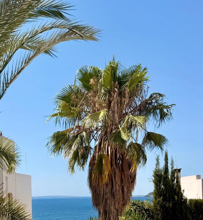 Photo of Others in Ibiza City Centre