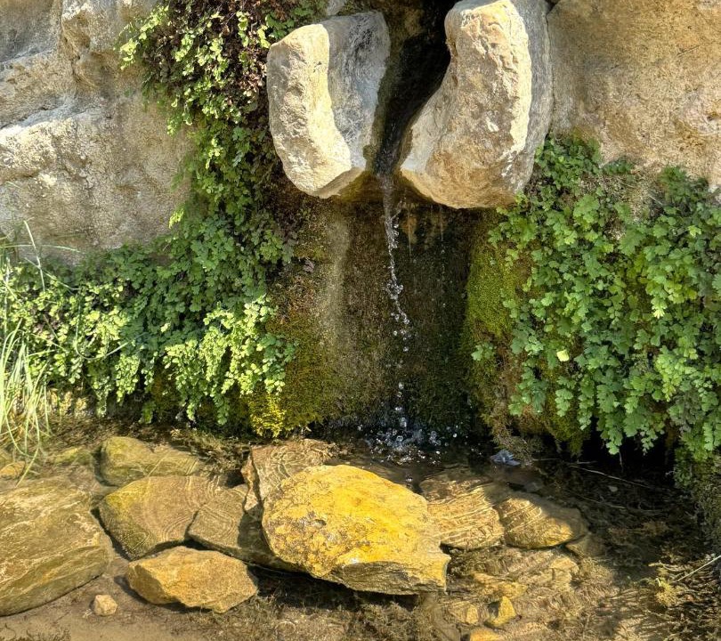 Photo of Others in Chert
