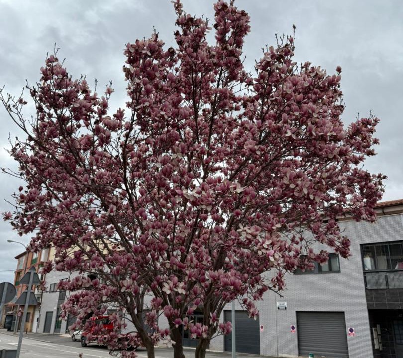 Photo of Outdoor in Teruel
