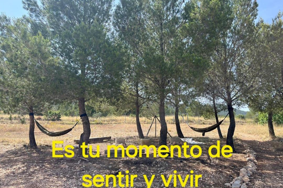 Photo of Others in Yecla