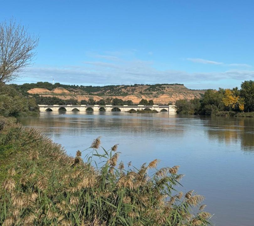 Photo of Others in Tudela