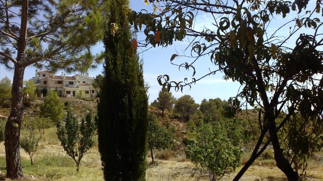 Photo of Others in Yeste