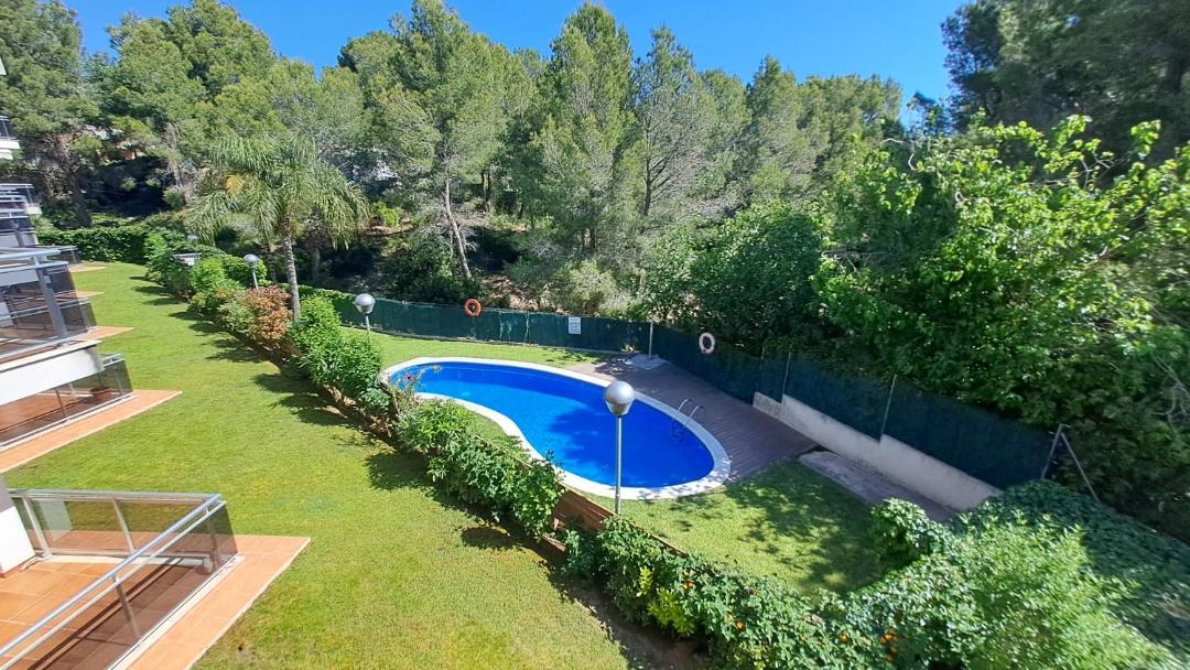Photo of Others in Calafat