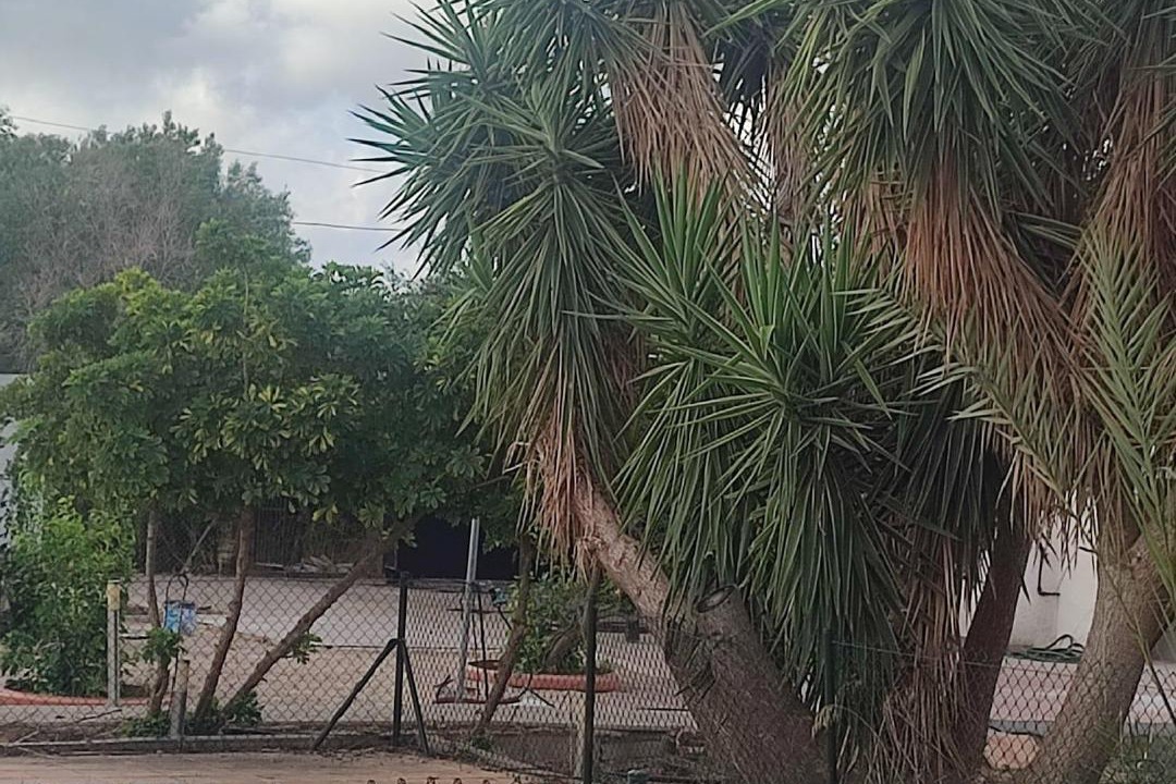 Photo of Others in La Aljorra