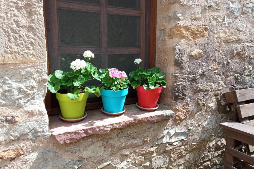 Photo of Others in Morella