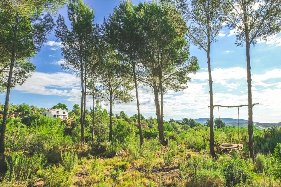Photo of Others in Vilanova d'Alcolea