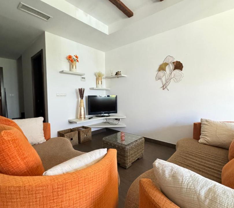 Photo of Livingroom in Puig Moreno