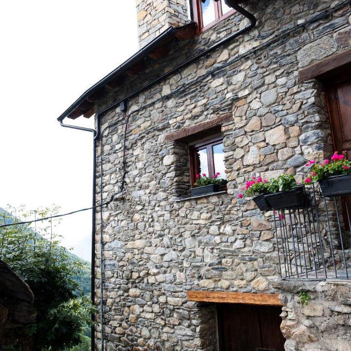 Photo of Others in Taull