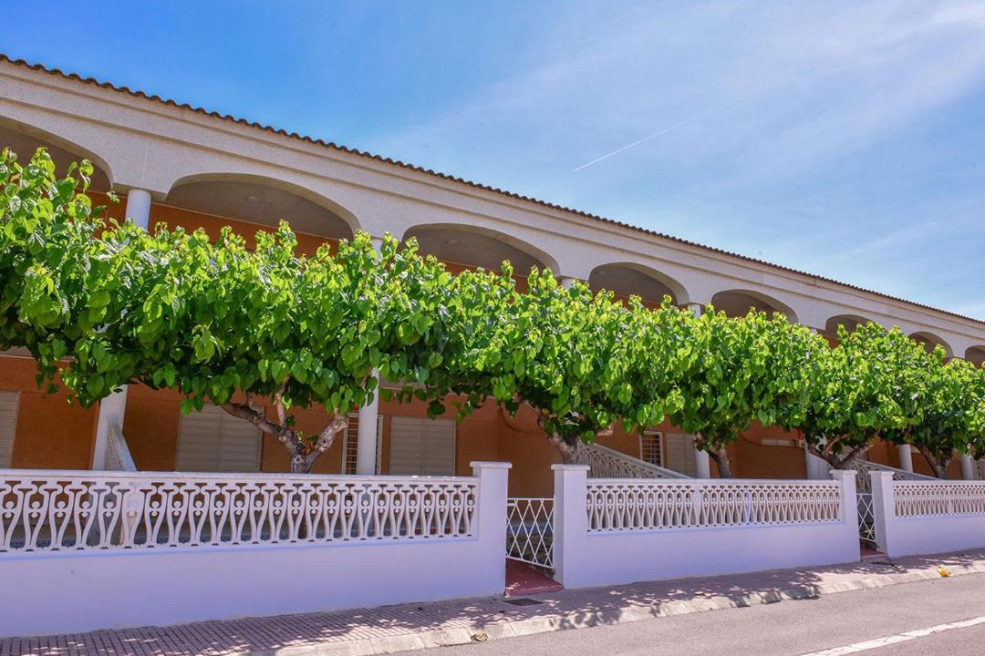 Photo of Others in Torreblanca